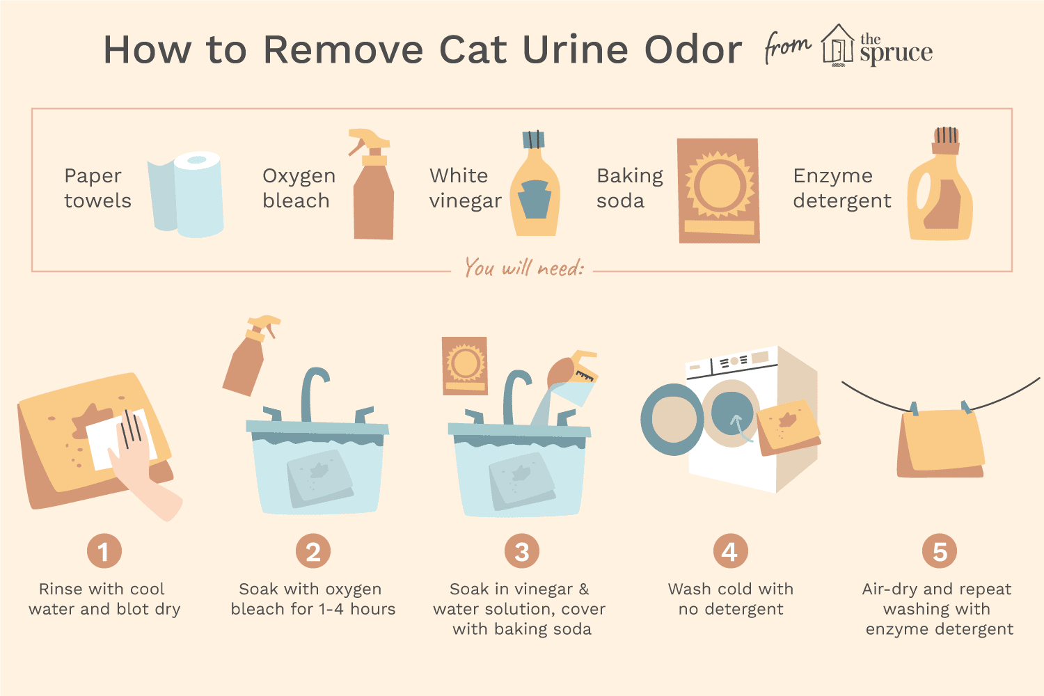 6 способов, как избавиться от запаха животных в квартире
