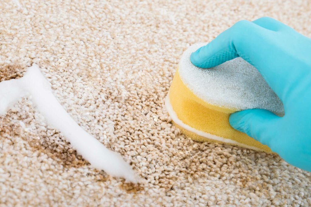 Расскажем о всех методах чистки и стирки ковров: какие средства использовать, как правильно высушить, как избавиться от пятен и неприятного запаха