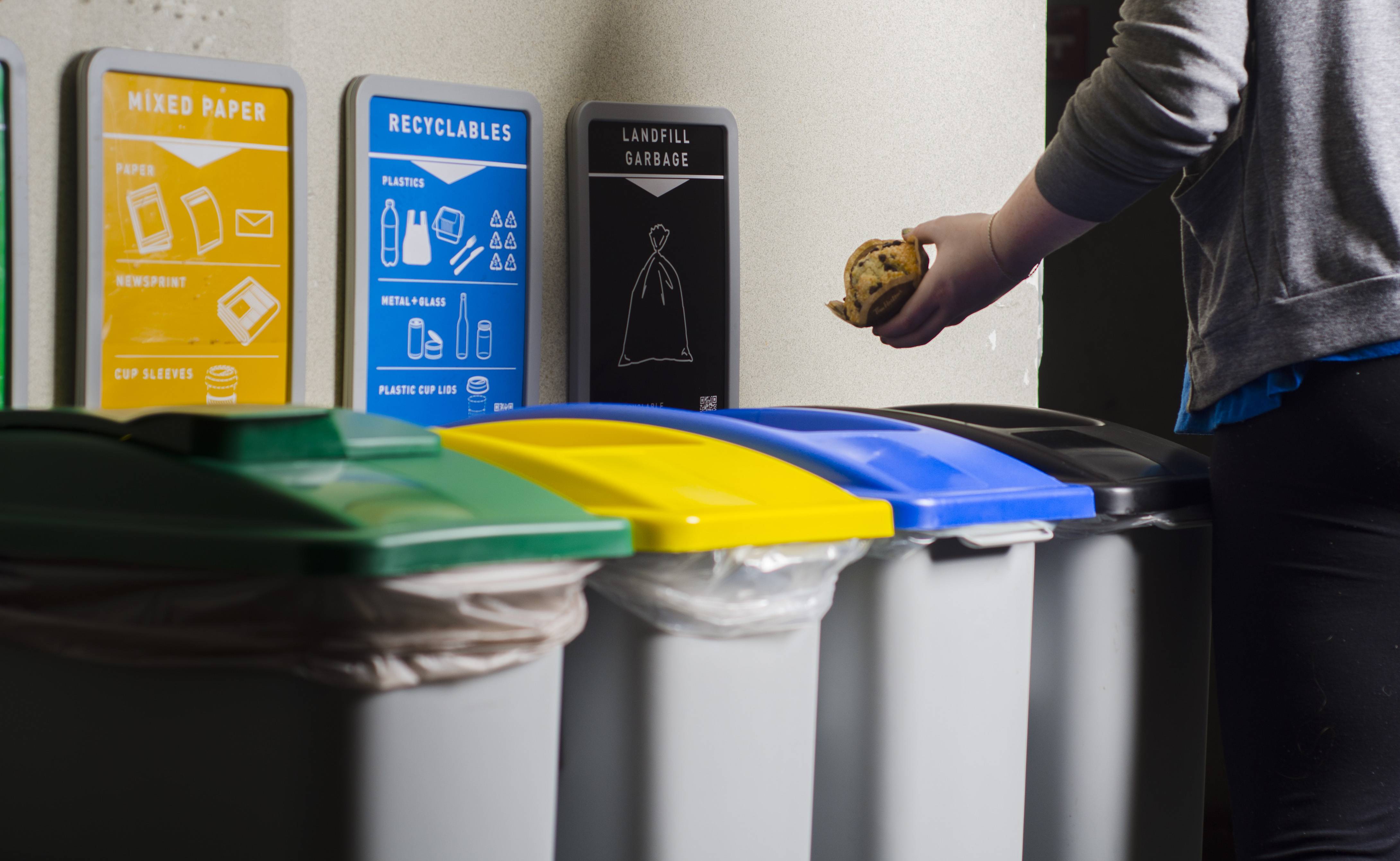 Основные принципы концепции zero waste: осознанная жизнь без отходов