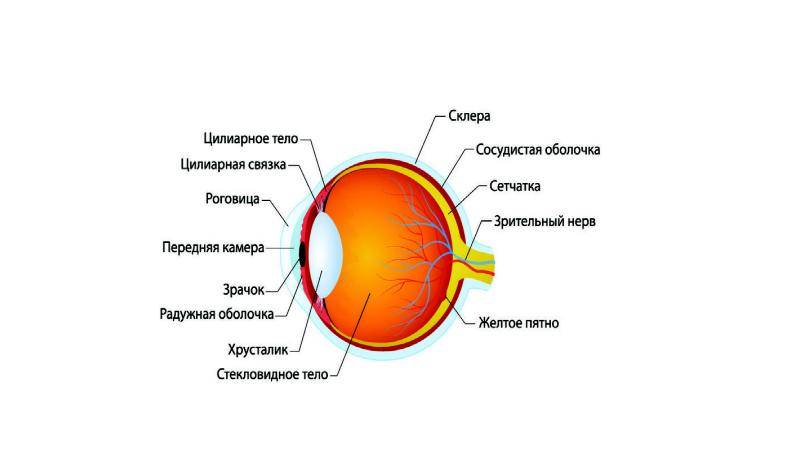 Что делать если болят глаза от сварки: чем лечить, какие капли