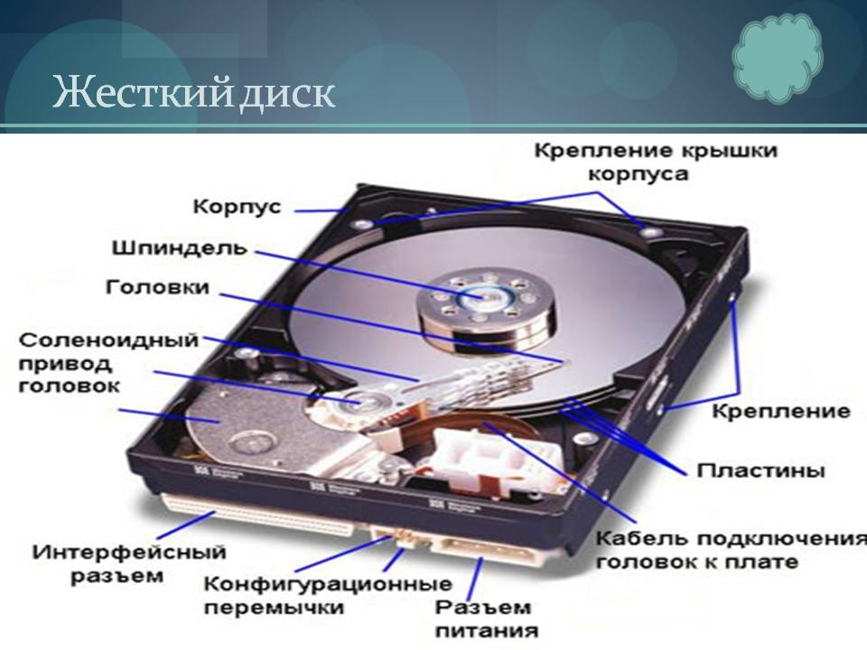 Как выглядит жесткий диск на ноутбуке и где находится