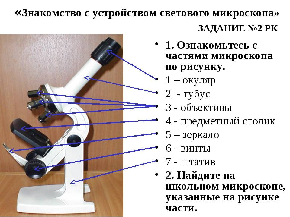 Строение светового микроскопа 5 класс биология рисунок с подписями