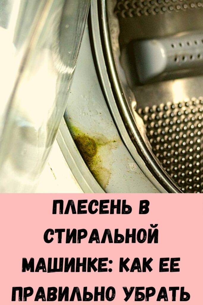 Запах и плесень в стиральной машине ???? как избавиться: 5 способов чистки в домашних условиях