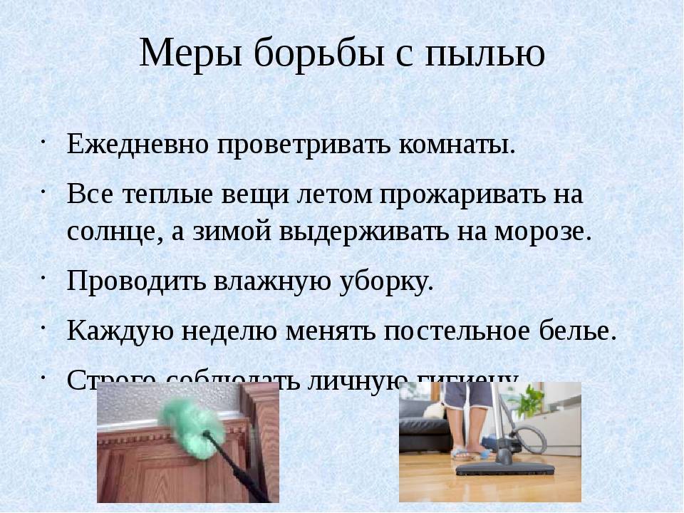 Как надолго избавиться от пыли на мебели, в квартире, домашних условиях: средства для уборки