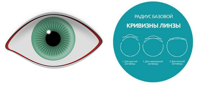 Кривизна линз: как выбрать и определить? - "здоровое око"