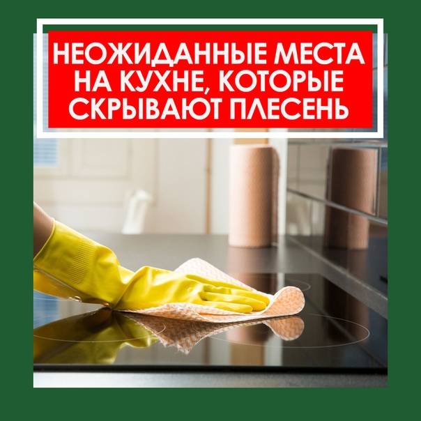Тщательная уборка: 8 мест на кухне, где может заводиться плесень
