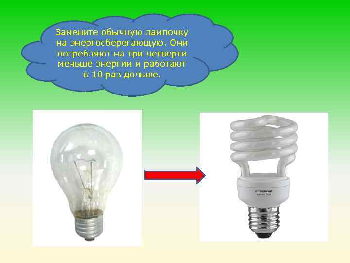 Энергосберегающие лампы: виды, советы как выбрать, куда сдавать в утилизацию