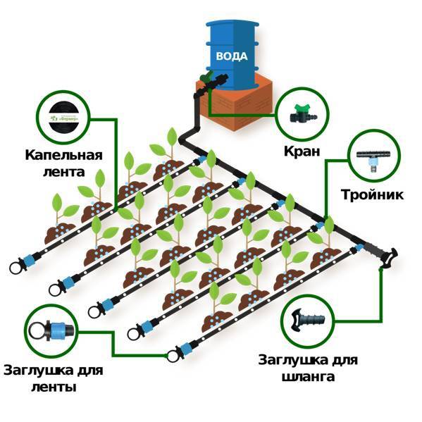 Схема капельного полива в теплице из бочки