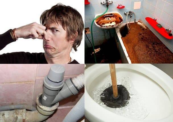 Почему в туалете пахнет канализацией: что делать, причины запаха