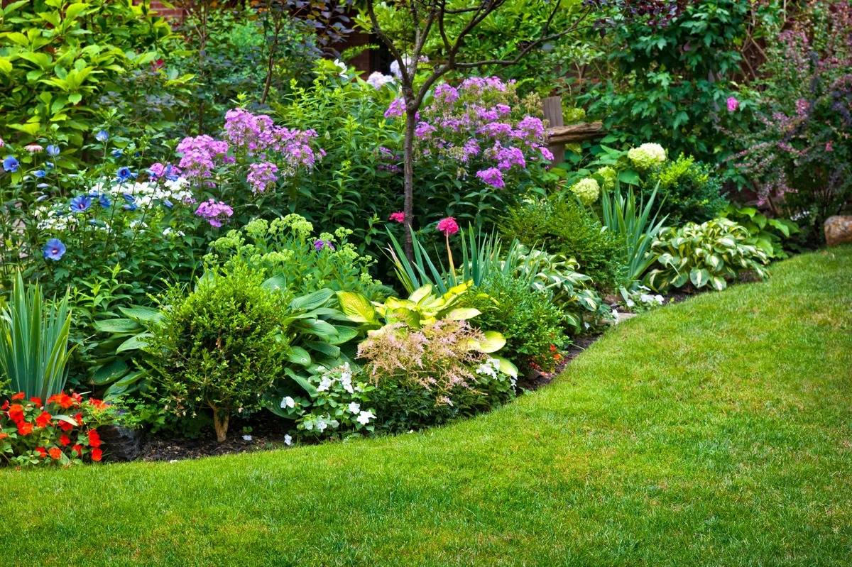 Растения в ландшафтном дизайне — правила оформления сада