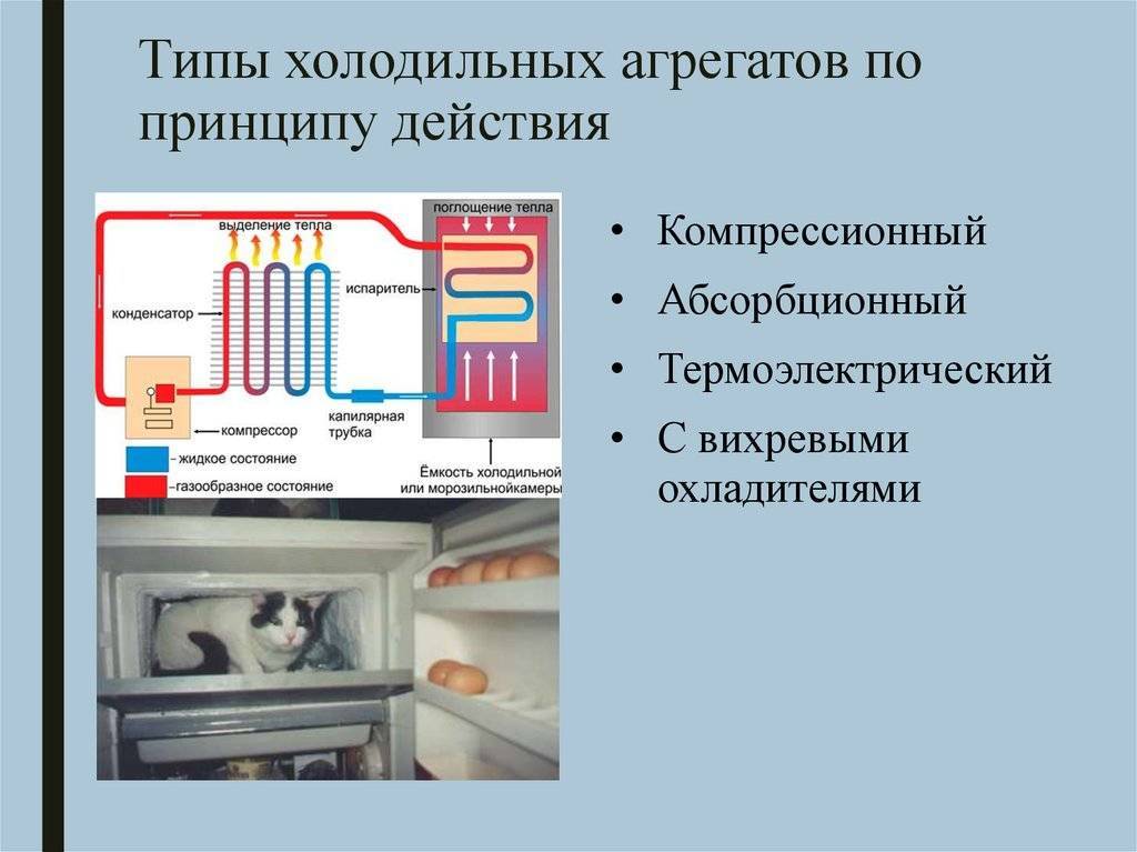 Принцип работы холодильника: устройство, компрессора, электрическая схема, как устроен, для новичка, простыми словами, действия, бытового, принципиальная