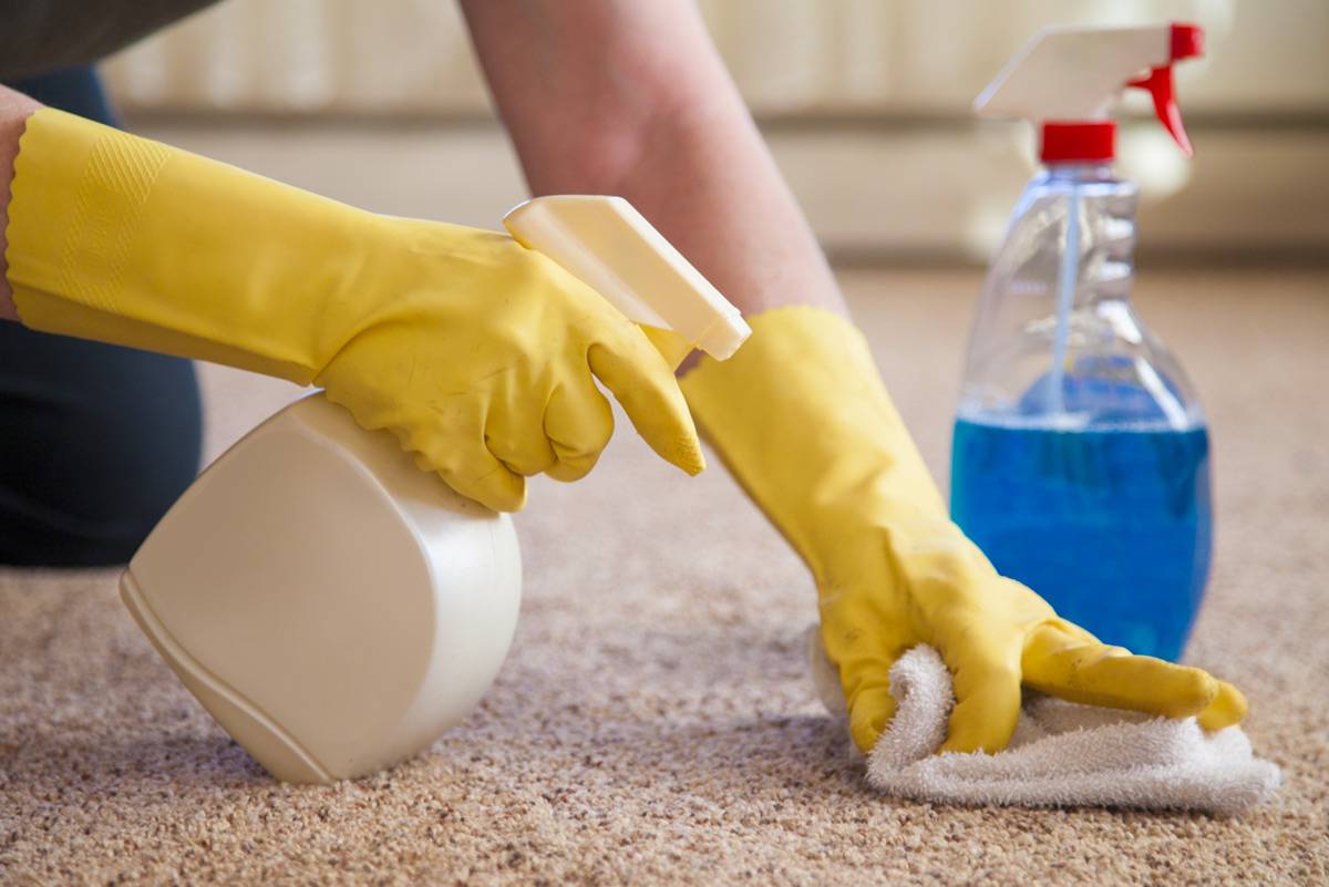 Как почистить ковер в домашних условиях?