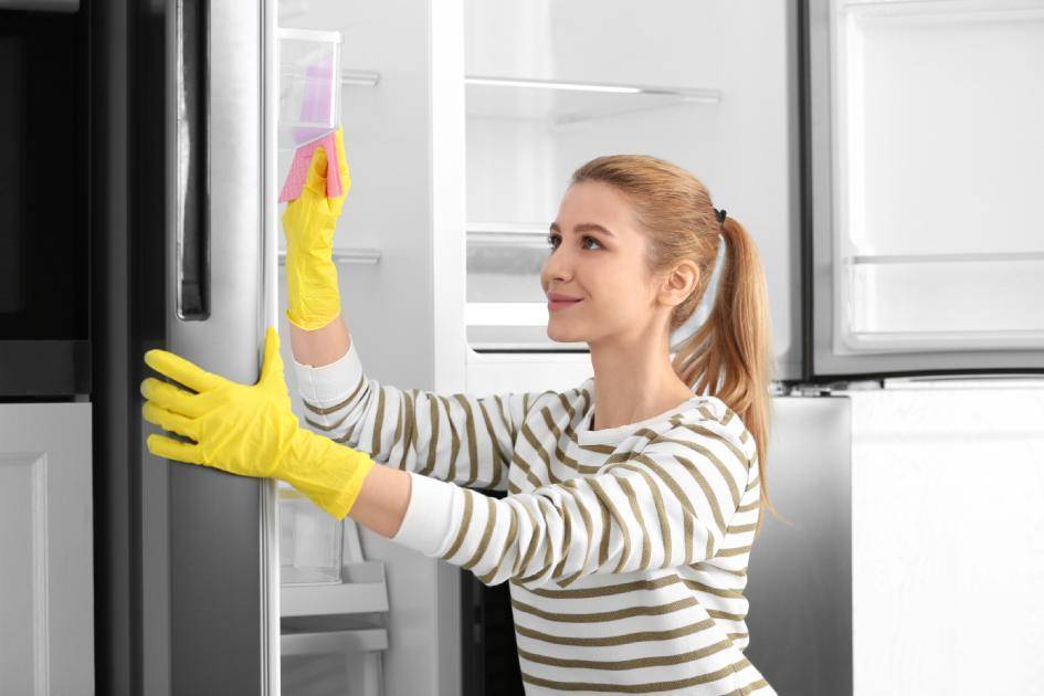 Средства для мытья холодильника внутри: каким моющим составом лучше мыть, как применять для чистки в домашних условиях?