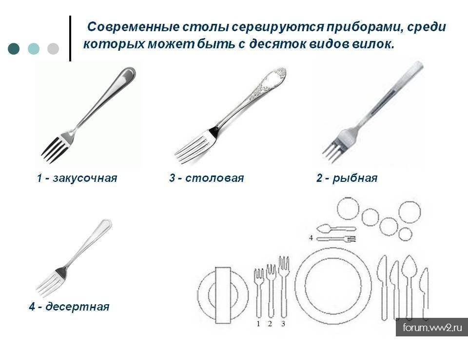 Виды вилок. Разновидности вилок для еды. Столовые приборы и их названия. Вилки для разных блюд.