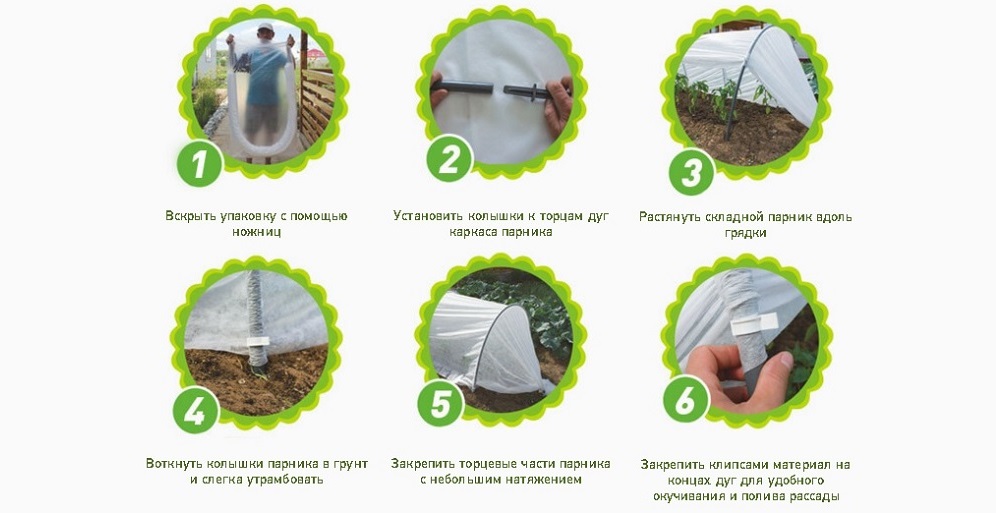Парник подснежник - преимущества и недостатки такого парника
