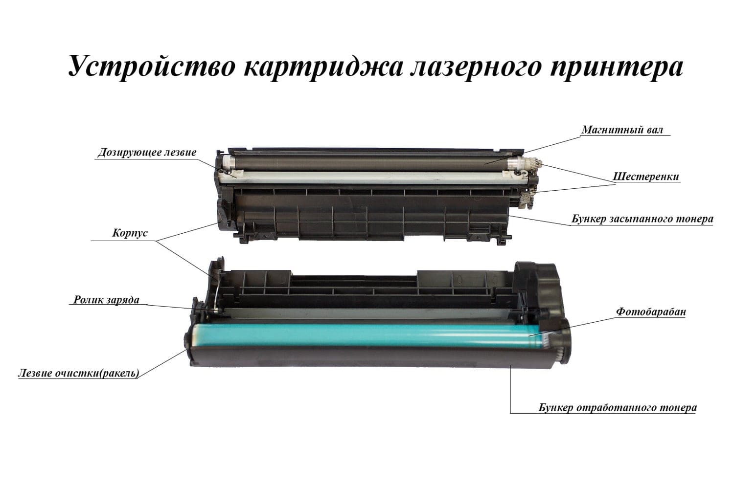 Что такое фотобарабан в принтере и для чего он нужен