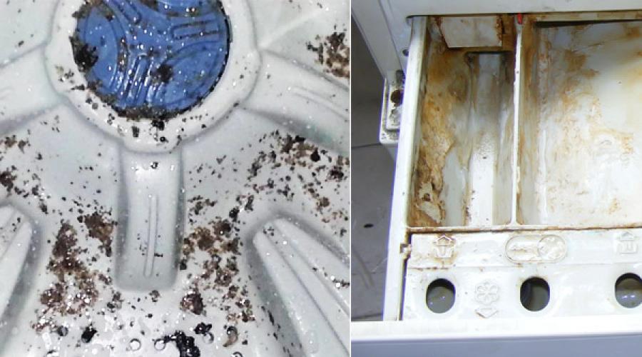 Чистка стиральной машины от плесени: химические средства и народные методы