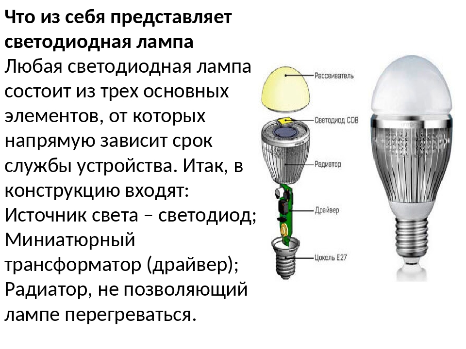 В чём польза умной лампочки: что это за устройство, её виды и функции