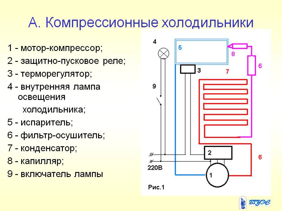 Принцип работы холодильника и его устройство