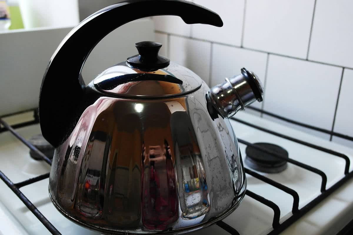 Чистка чайника из нержавейки от жира и нагара: лучшие средства и способы