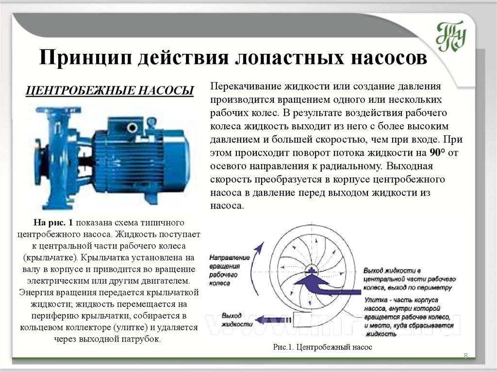 Самовсасывающие насосы для воды — устройство, принцип работы, правила эксплуатации