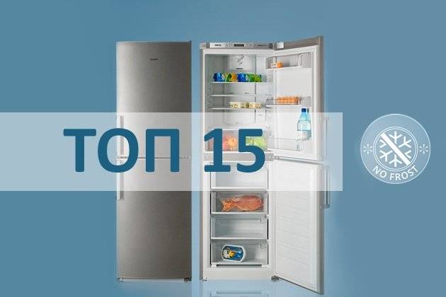 Лучшие холодильники ноу фрост 2021 года: рейтинг двухкамерных моделей с системой no frost по качеству и надежности