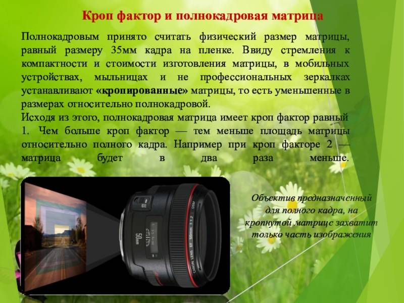 Что такое кроп фактор в фотографии – photo7.ru - сайт о фотографии