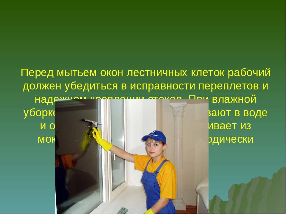 Как легко и просто помыть окна: советы экспертов - статьи и советы на furnishhome.ru