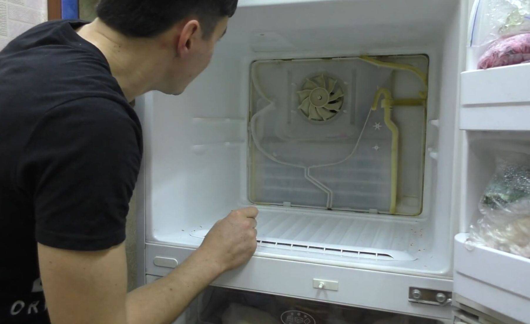 Конденсат в холодильнике