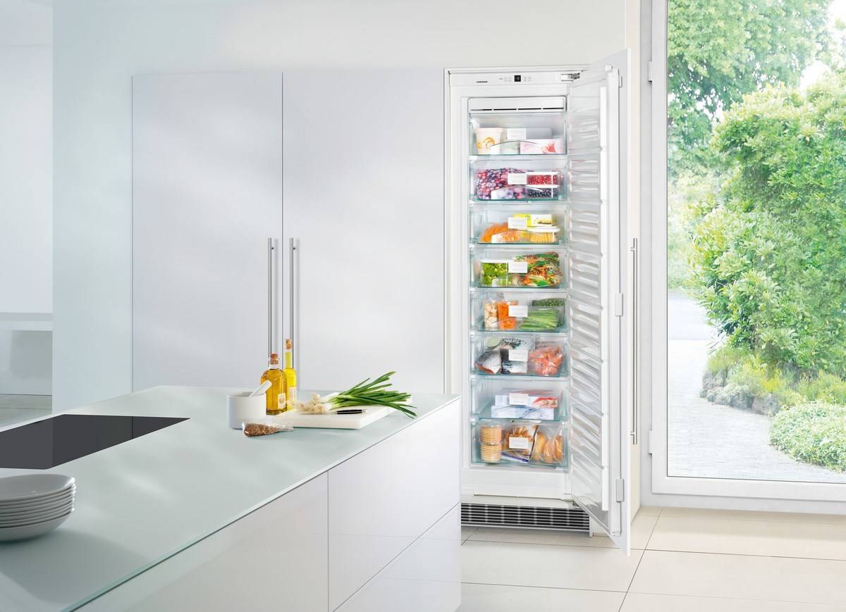 Рейтинг холодильников ноу фрост 2021 года: лучшие холодильники с системой no frost