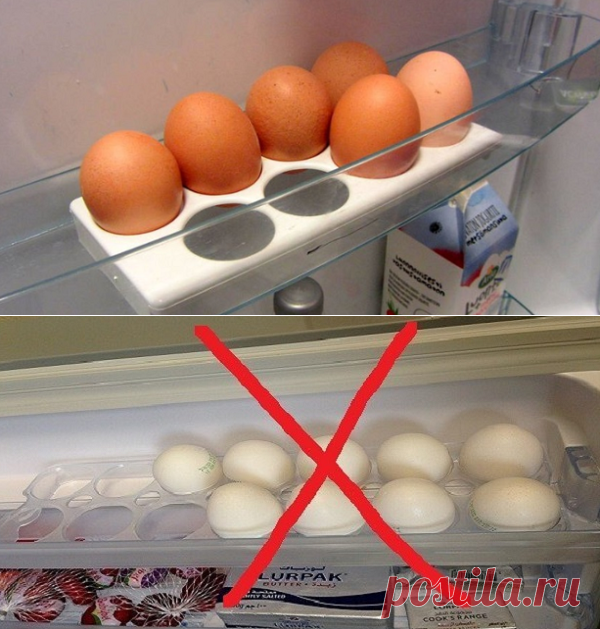 Сколько можно держать яйца. Яйца в холодильнике. Куриные яйца в холодильнике. Хранение яиц в холодильнике. Ячейки для яиц в холодильник.