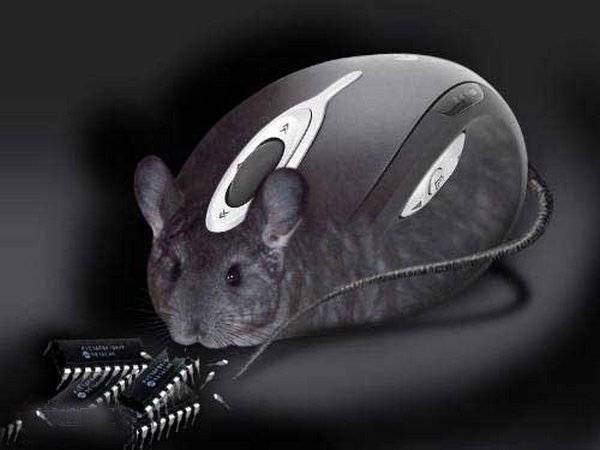 Нужна лучшая дешёвая компьютерная мышь – топ-5 мышек 2022 для работы и развлечений - новостной портал