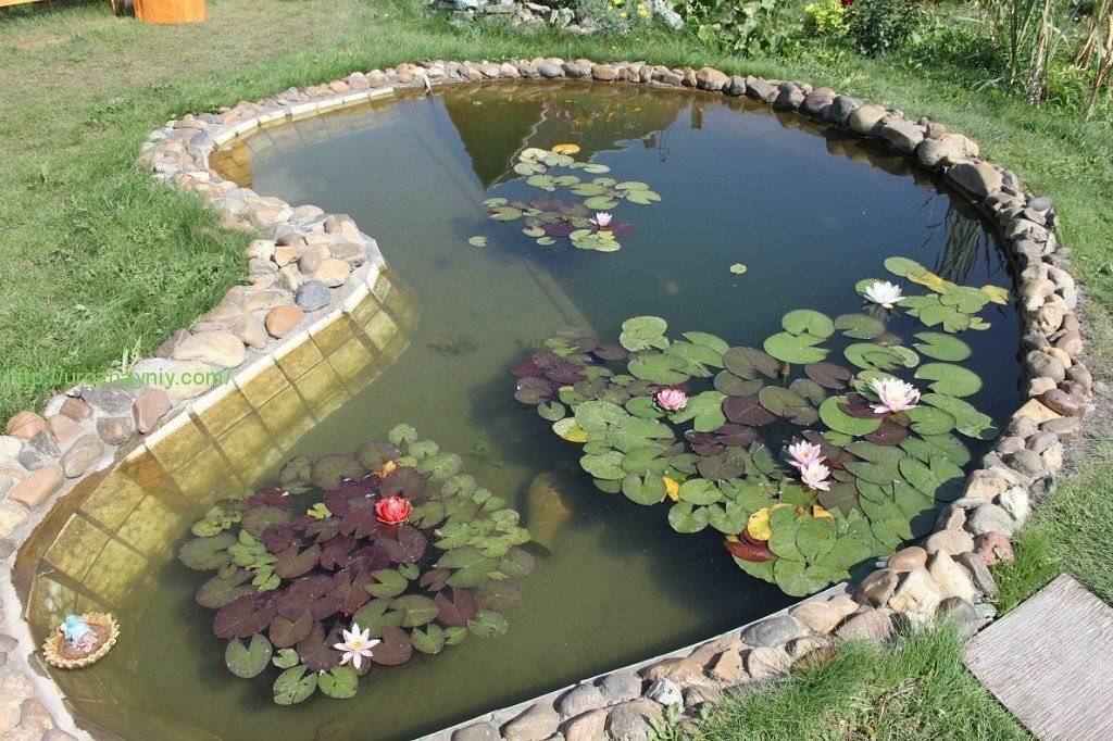 Как установить и оформить пластиковый пруд в саду. выбор чаши, декор и озеленение, личный опыт. фото — ботаничка.ru