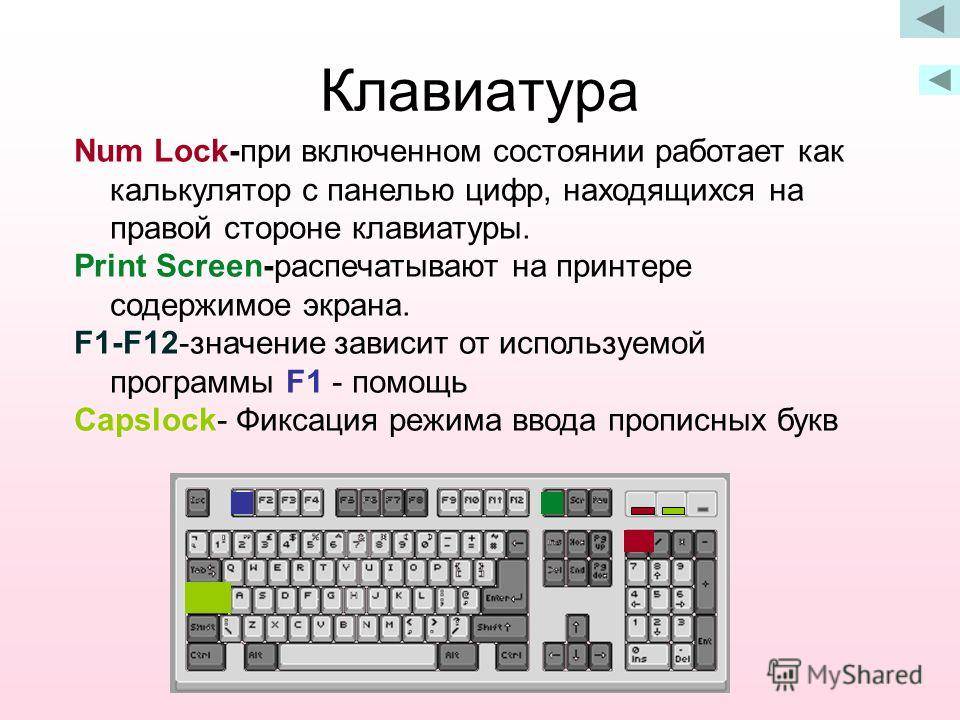 Как включить правую клавиатуру. Части компьютерной клавиатуры. Клавиатура компьютера для начинающих. Клавиатура изучение клавиш. Клавиатура компьютера по информатике.