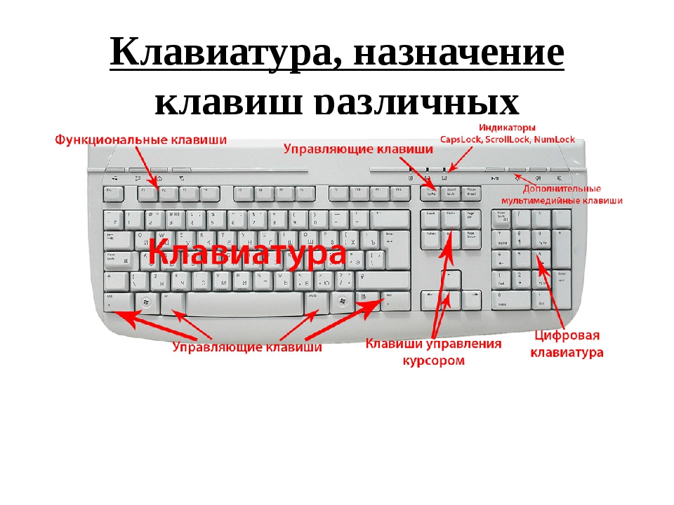 Кнопка win на клавиатуре: где находится на ноутбуке или пк и зачем нужна эта клавиша?