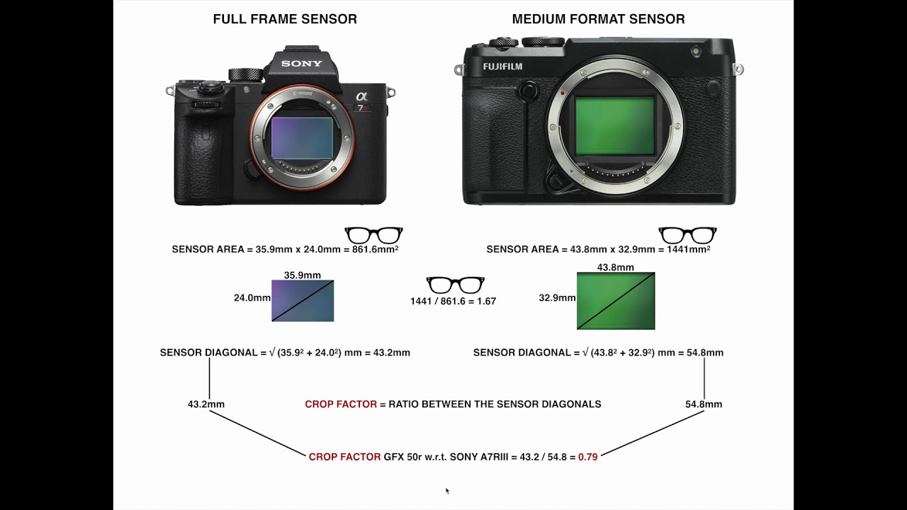 Лучшая полнокадровая камера 2021 года: 10 беззеркальных и зеркальных камер формата full-frame