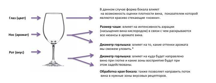 Чем отличаются бокалы для белого и красного вина с фото