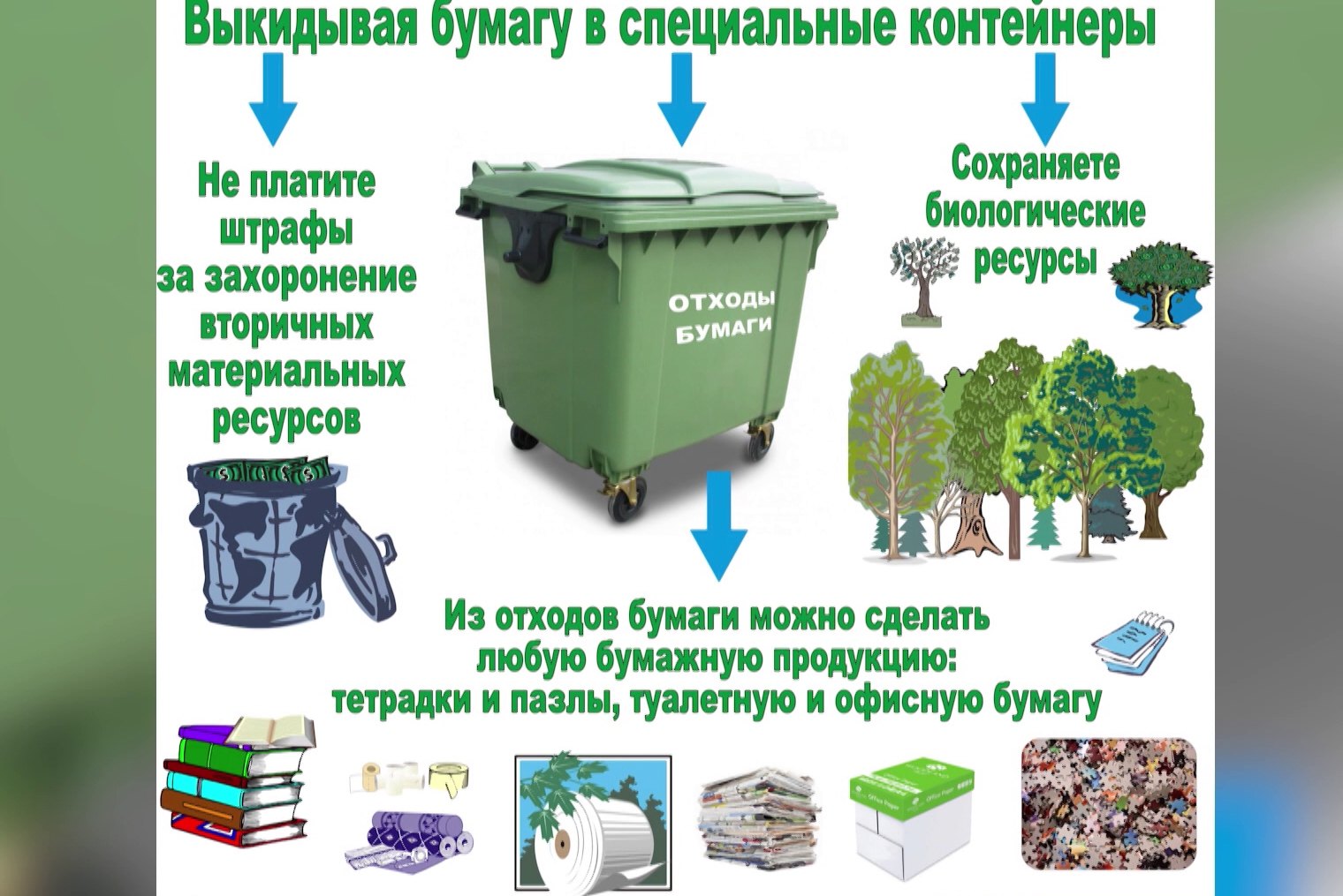 Правила сортировки тбо в домашних условиях при раздельном сборе мусора