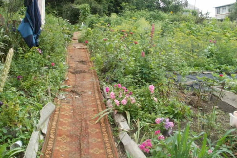 Линолеум на огороде фото