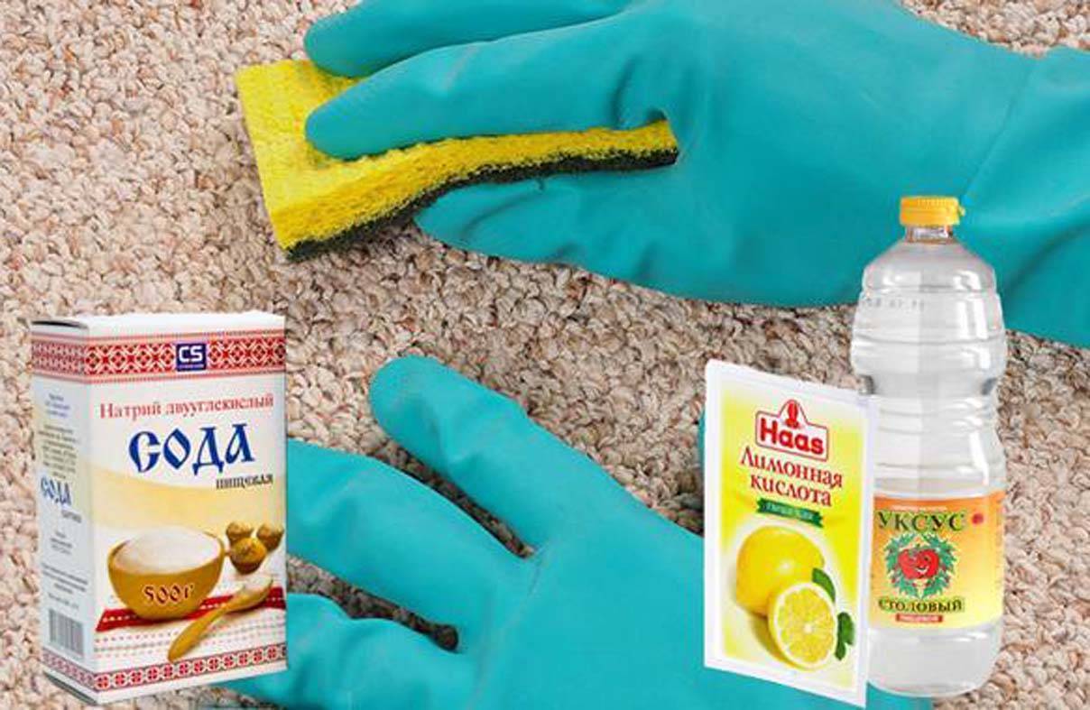 Как избавиться от запаха кошачьей мочи на ковре в домашних условиях простыми средствами?