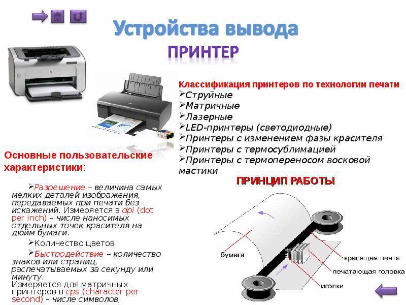 Матричные принтеры | skanworld.ru