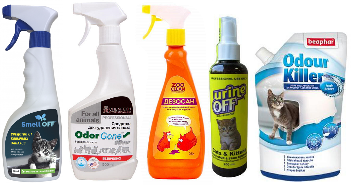 Лучшие средства от запаха животных в доме. как убрать запах мочи кошек и собак. эффективная уборка в доме с животными регулярная стирка подстилок