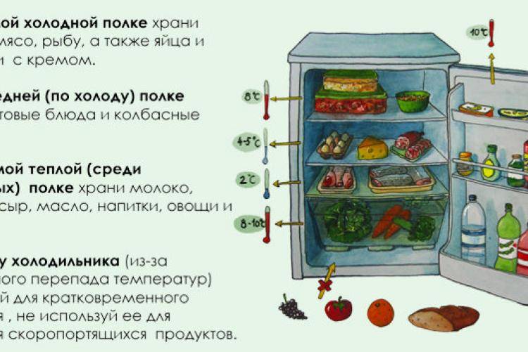 Как разложить продукты в холодильнике для долгого хранения