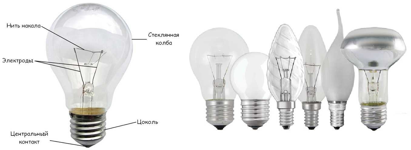 Какие лампочки выбрать для дома: самые яркие и экономичные