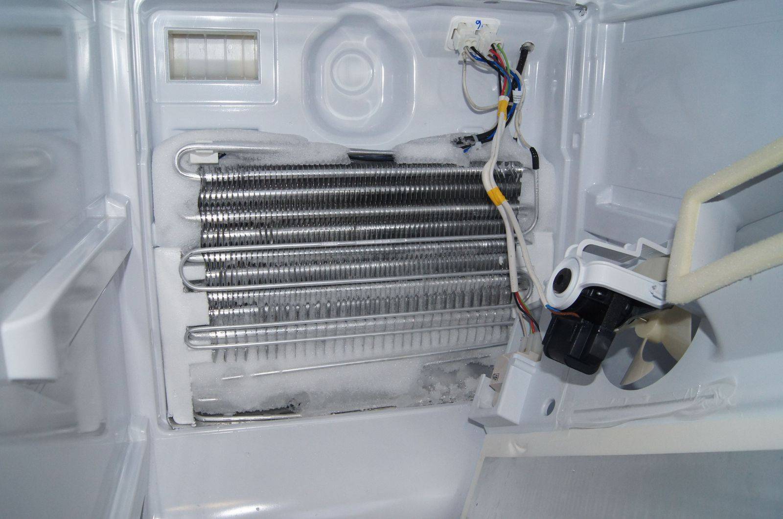 Что такое no frost в холодильнике и как работает данная система в 2021 году