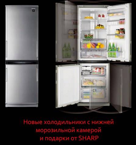 Холодильники «шарп» (sharp): отзывы, достоинства и недостатки + лучшие модели - точка j
