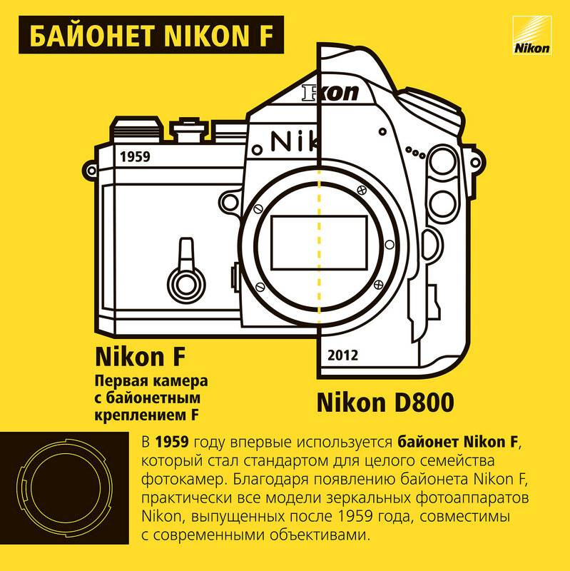 В чём разница между байонетами nikon f и canon ef? - уроки и секреты фотографии
