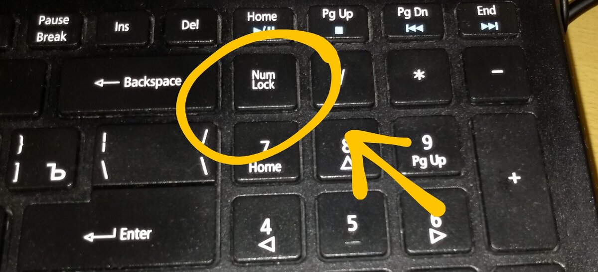 Как включить цифры на клавиатуре. Индикатор Numlock на клавиатуре. Горит Lock на клавиатуре. Не печатаются буквы на клавиатуре. Клавиатура не печатает буквы.