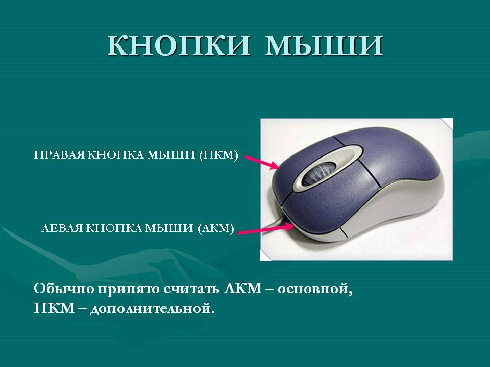 Почему при нажатии. Кнопки мыши ЛКМ ПКМ. Компьютерная мышь основные кнопки сбоку. Основные приемы работы с мышью. Компьютерная мышь левая кнопка.