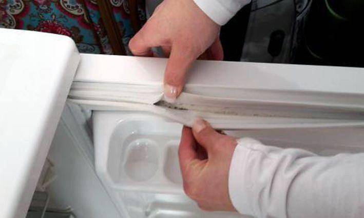 Как убрать плесень в холодильнике внутри и на резинке, как быстро вывести запах, чем отмыть поверхности в домашних условиях?